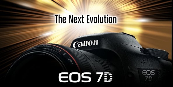 View Article & Photos >>