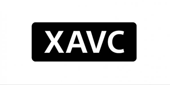 View Article & Photos >>