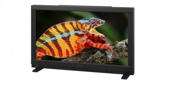 View Article & Photos >>