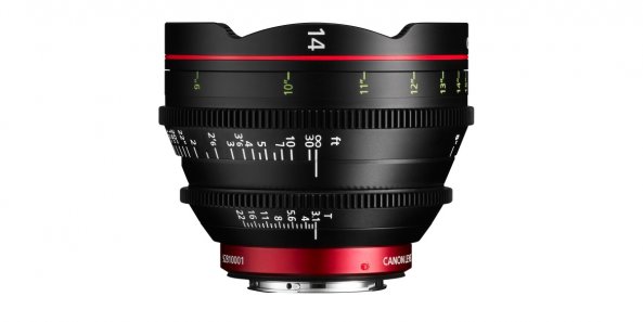 View Article & Photos >>