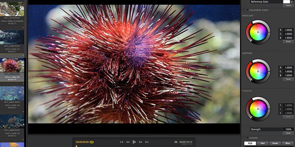 View Article & Photos >>