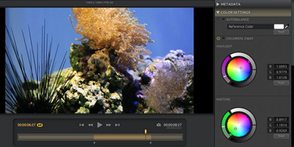 View Article & Photos >>